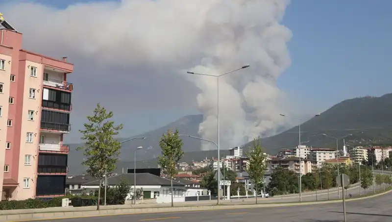 Denizli'deki Orman Yangınında Şok Gelir: Gözaltı Sayısı Artıyor!