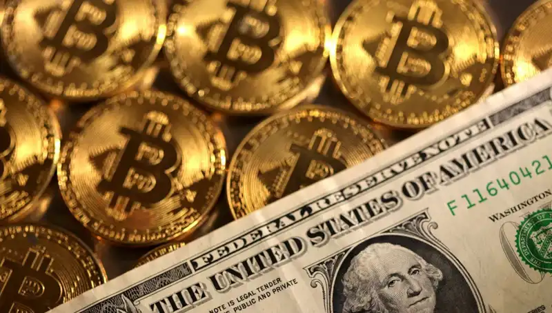 Kripto Fonları Piyasa Düşüşünden 4,75 Milyar Dolar Kaybetti: Nedenleri ve Sonuçları