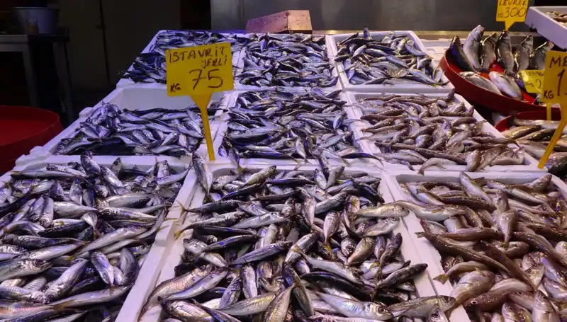 2023 Balık Sezonu Yakında Sona Eriyor: Son Av Fırsatları