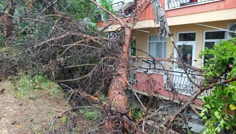 Yağmur Yağışı Sonrası Tehlikeli Çöküş: Bina Başına Yıkıldı
