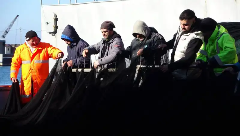 Hamsi Stoku Tükendi: Balıkçılar Erken Sezona Veda Etti