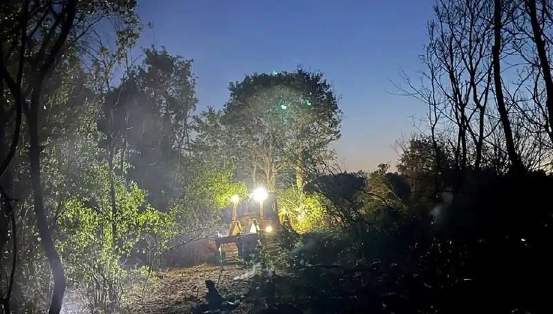 Edirne'deki Orman Yangını Kontrol Altına Alındı: Doğa Yeniden Hayat Buluyor
