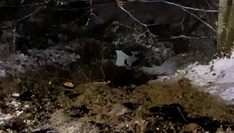 İnegöl'de Uçurumdan Yuvarlanan Araçta Yaşanan Feci Kaza Detayları