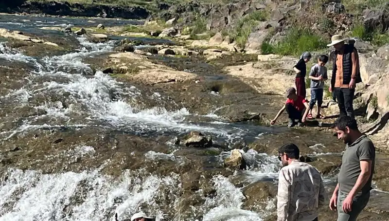 İnci Kefalinin Göçü: Doğa Harikasını İzlemek İçin Bütün Dünya Burada!