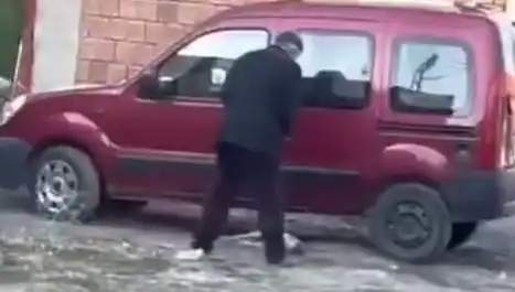 Sokak Ortasında Kaydedilen Köpek Şiddeti İhbarları Artıyor, Ne Oluyor?