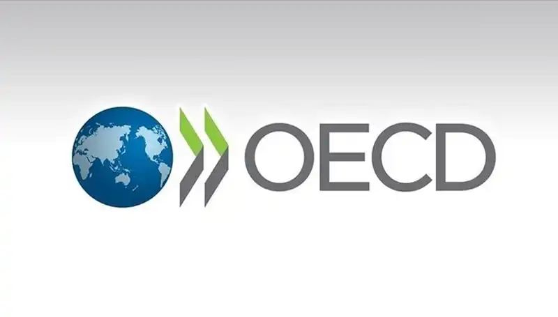 OECD, Türkiye İçin Büyüme Tahminini Revize Etti: Ekonomik Beklentilerde Hareketlilik