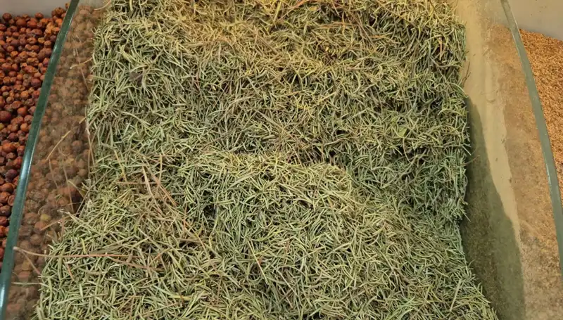 Yaz Ayları Geldiğinde İnternette Satışı Artan Tehlikeli Ürünler