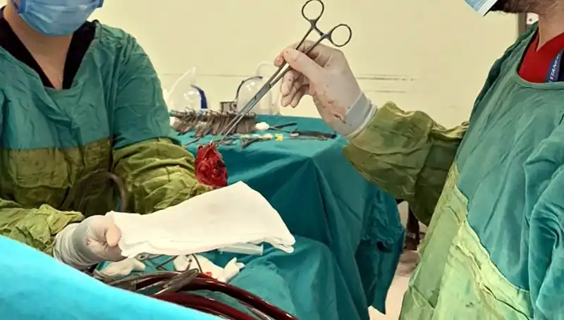 Kalp Kapağı Çürüyen Hastaya 7 Saatlik Ameliyat: Doktorlar "Mucizevi" Dedi