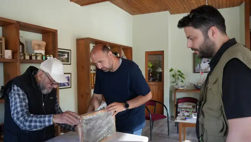 Şifa Kaynağı Mucizevi Bitki: Doktor Tavsiyesi Olmadan Tüketmeyin!