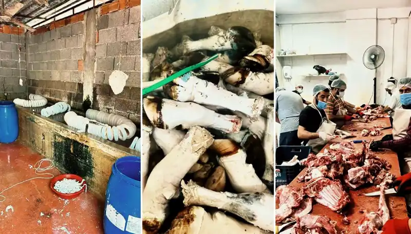 Adana'da Yüzlerce Kilo Kaçak Paça Ele Geçirildi: Sağlık Tehlikesi!