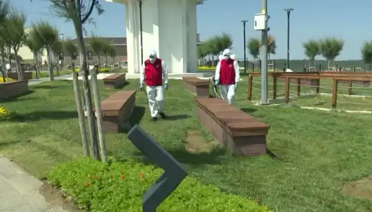 Kene Görülme Sıklığı Artıyor: Halka Açık Yerlerde İlaçlama Önlemleri