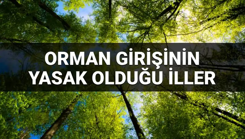 2025 Yılında Hangi İllerde Ormana Giriş Yasaklandı?