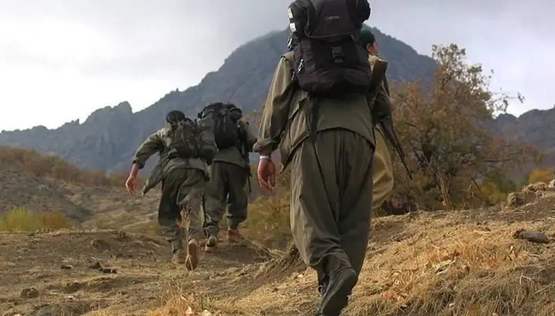 Türkiye'de Terörsüz Gelecek İçin Kritik 48 Saat: Öcalan'dan Önemli Mesaj