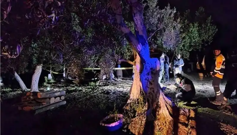 Çiftlikteki Baltalı Vahşete İlgili Şok Gelişme: Bir Tutuklama Gerçekleşti