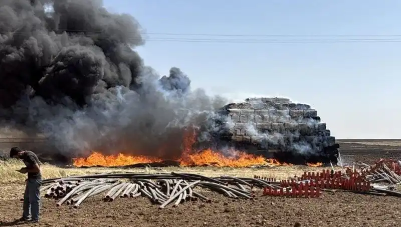 Mardin'de Anız Yangınları: Tarım Alanları Tehlikede, Çiftçiler Endişeli
